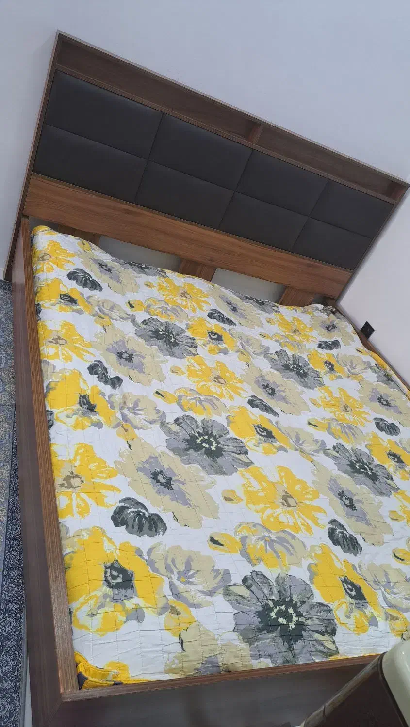 تخت ام دی اف|تخت و سرویس خواب|نوشهر, |دیوار