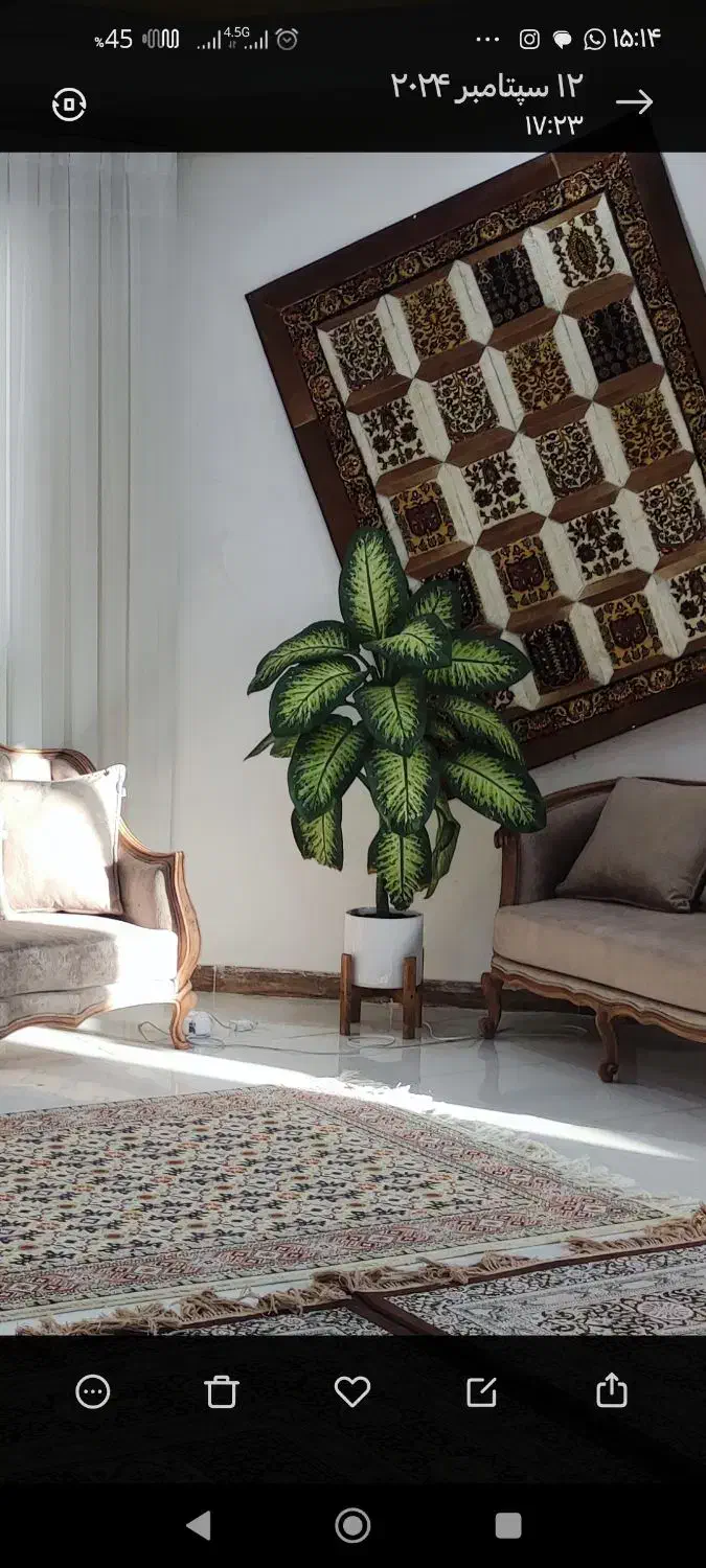 گل طبیعی|گل و گیاه طبیعی|ایلام, |دیوار