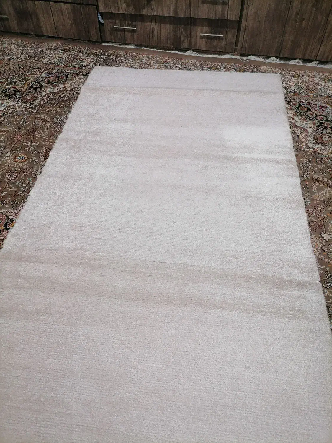 کناره ظریف مصور|گلیم، جاجیم، گبه|نیشابور, کریم آباد|دیوار