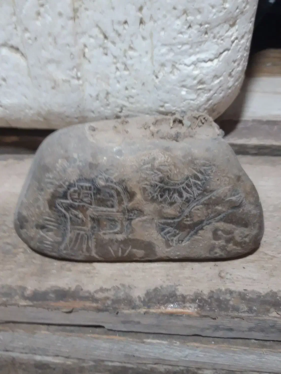 سنگ فسیل|کلکسیون اشیاء عتیقه|کرمانشاه, |دیوار