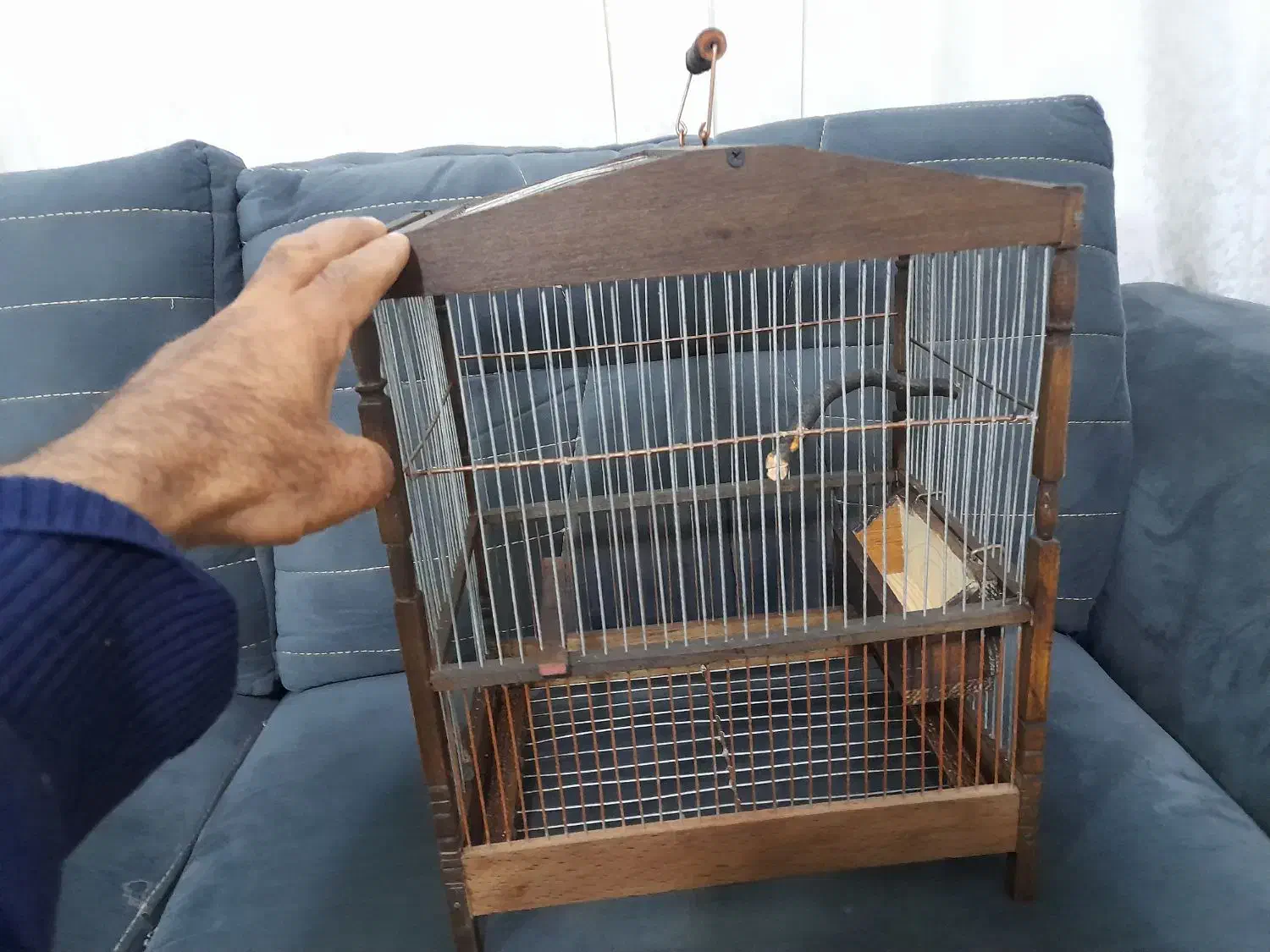 قفس سهره سهره قناری|لوازم جانبی حیوانات|کوهدشت, |دیوار