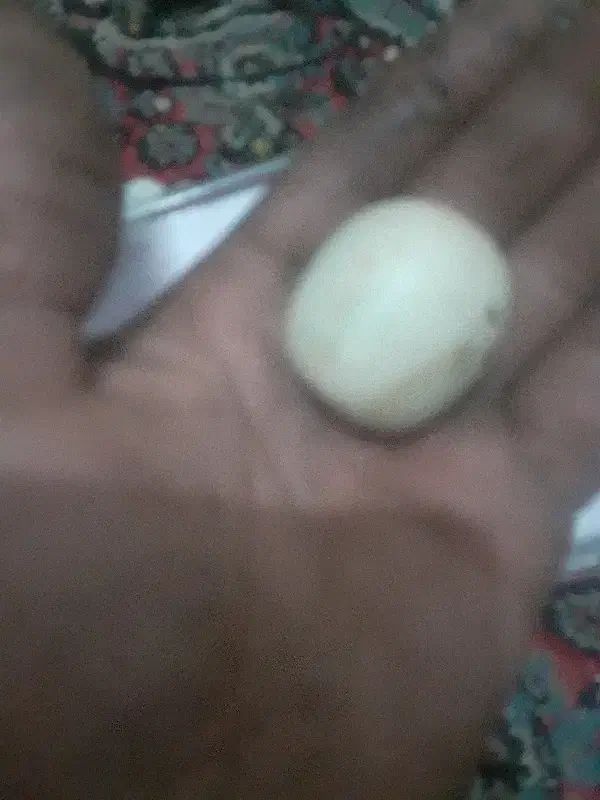 سنگ الماس اسیاب|جواهرات|سیرجان, |دیوار