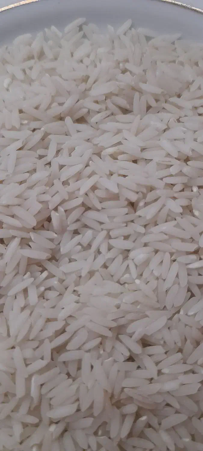 برنج هاشمی مغان|خوردنی و آشامیدنی|پارسآباد, |دیوار