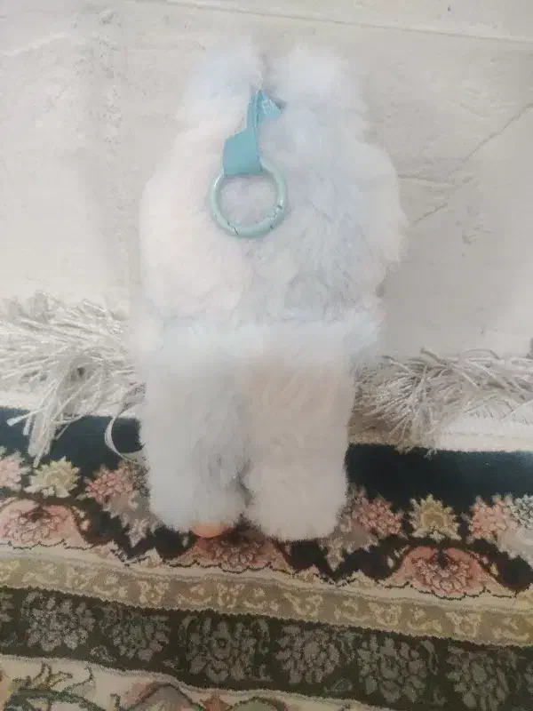 لبوبو سکرت|اسباببازی|شوشتر, |دیوار