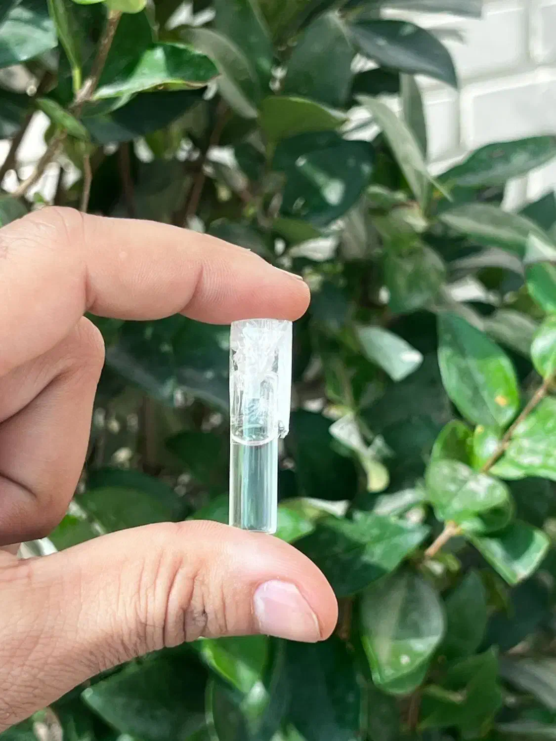 پماد درمانگر hpv|آرایشی، بهداشتی، درمانی|تهران, چیتگر جنوبی|دیوار