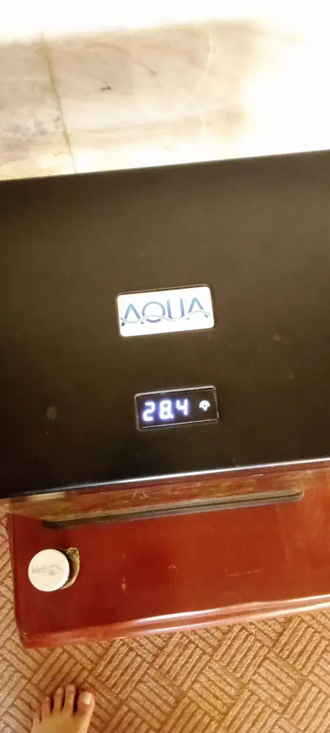 اکواریوم کوچک|ماهی|نائین, |دیوار