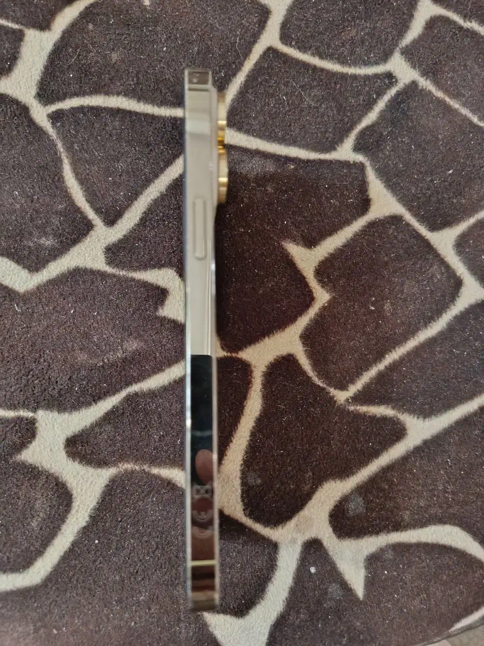 14promax باریجستر ۱۴ پرومکس باریجستر۲۵۶|موبایل|تهران, پرستار|دیوار