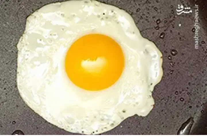 تخمه مرغ تحویل درمحل حتی یک شانه|خوردنی و آشامیدنی|فردیس, نسترن غربی|دیوار