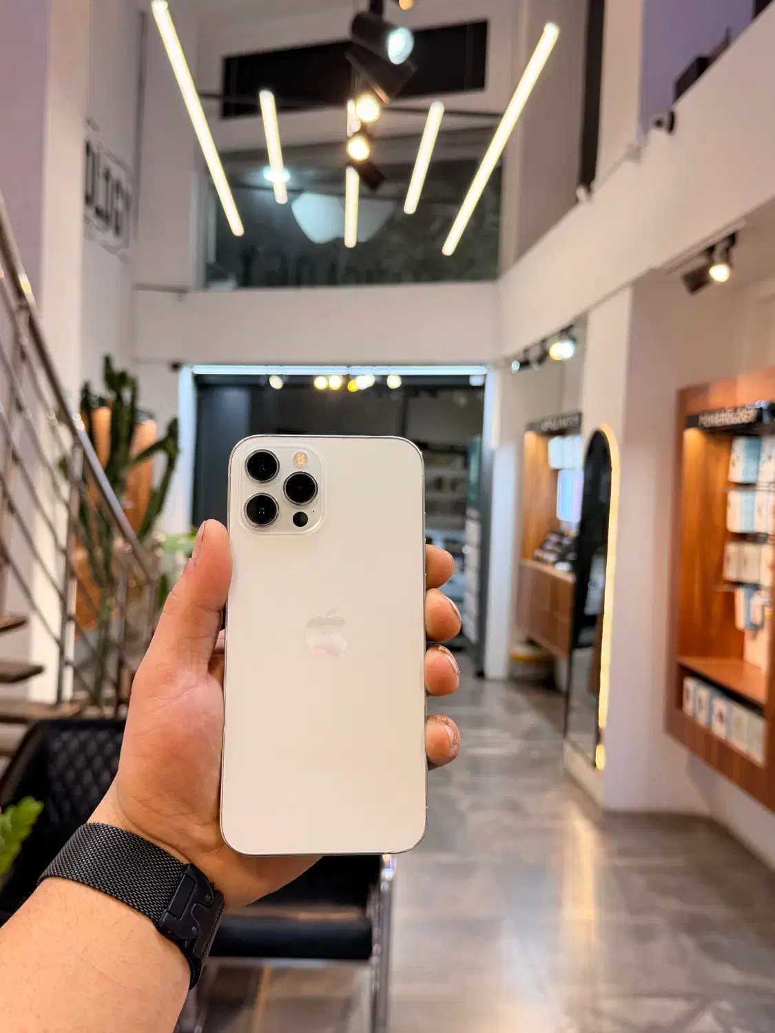 ایفون iphone 12promax 256g zaaبا شرایط ویژه|موبایل|کرج, فاز ۲ مهرشهر|دیوار