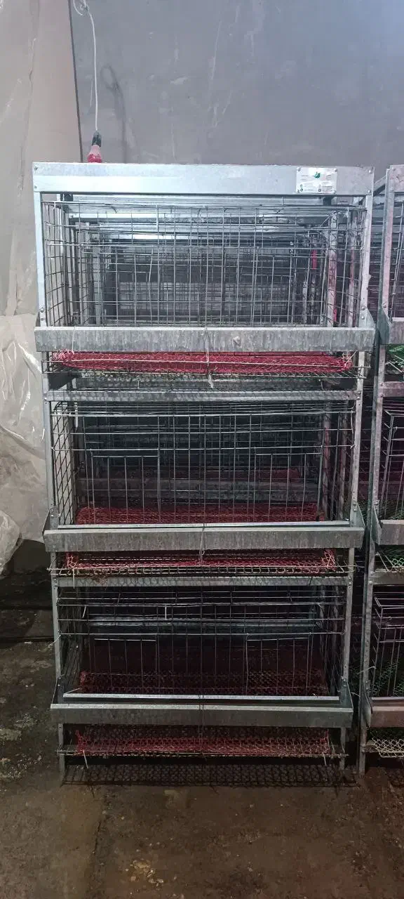 قفس مرغ تخم گذار|لوازم جانبی حیوانات|تهران, شهرک رضویه|دیوار