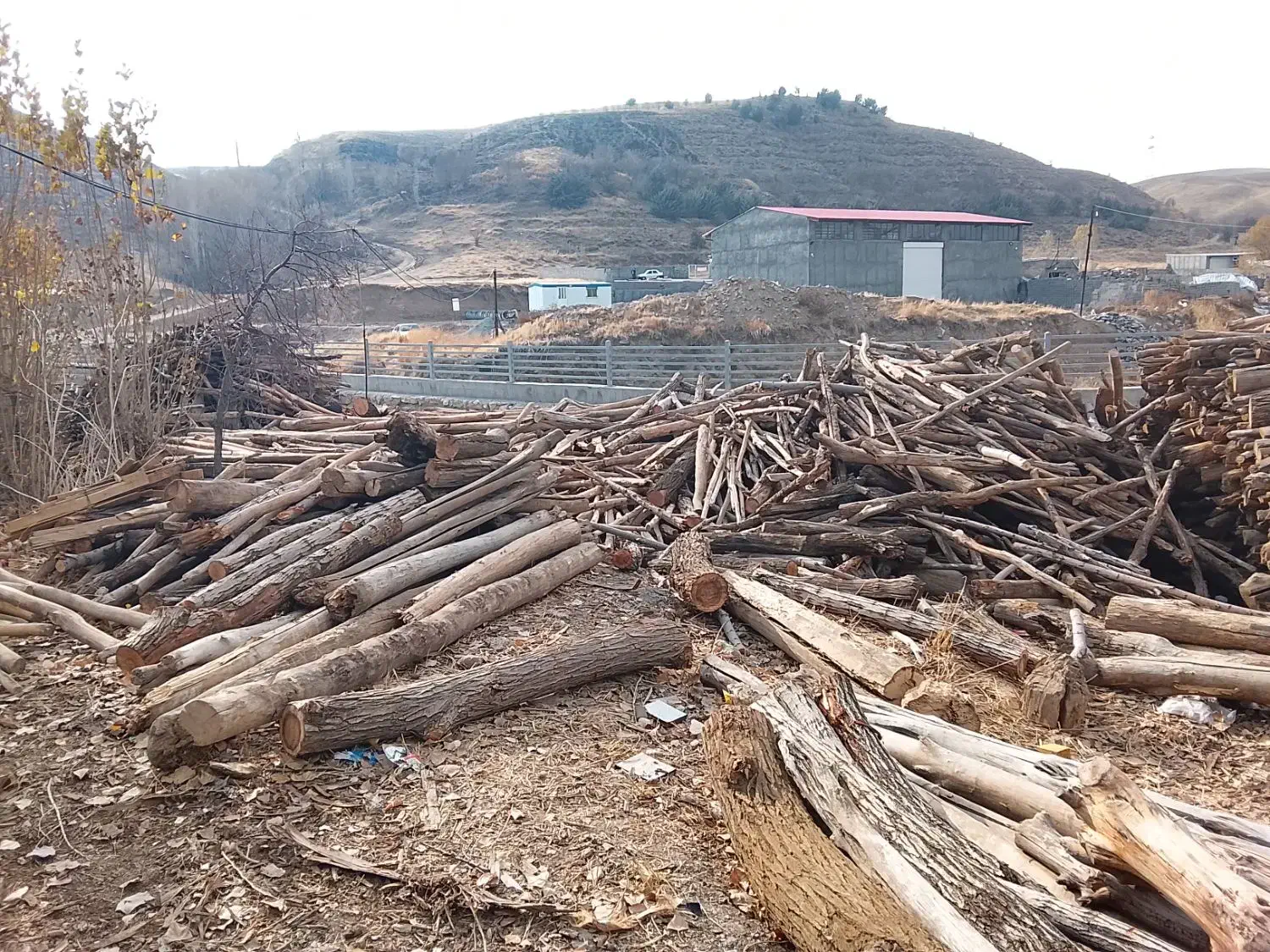 چوب فروشی لطفی|مصالح و تجهیزات ساختمان|دیواندره, |دیوار