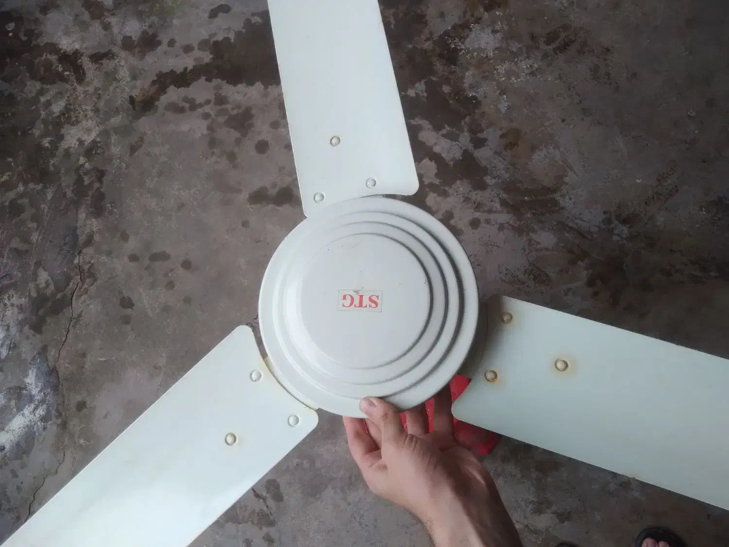 پنکه سقفی با پره و کلید دیواری|پنکه و تصفیهکنندهٔ هوا|رشت, جانبازان|دیوار