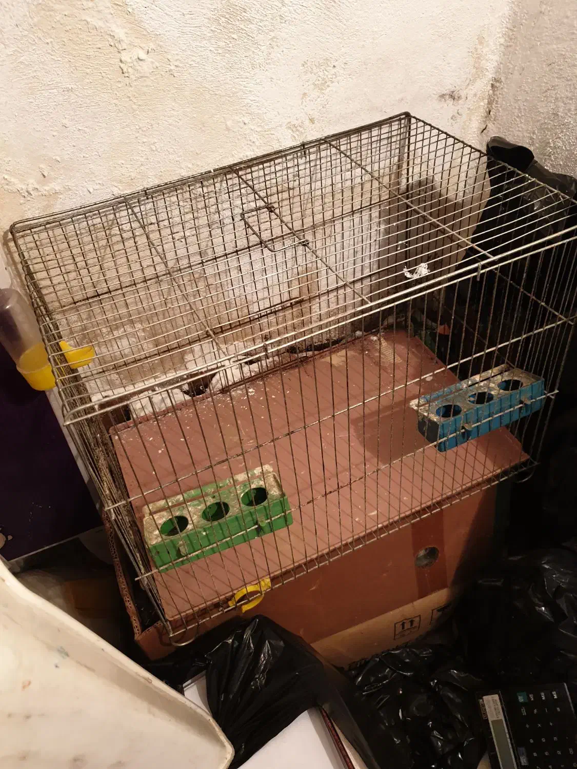 چندعدد قفس پرنده|لوازم جانبی حیوانات|رشت, لاکانی|دیوار