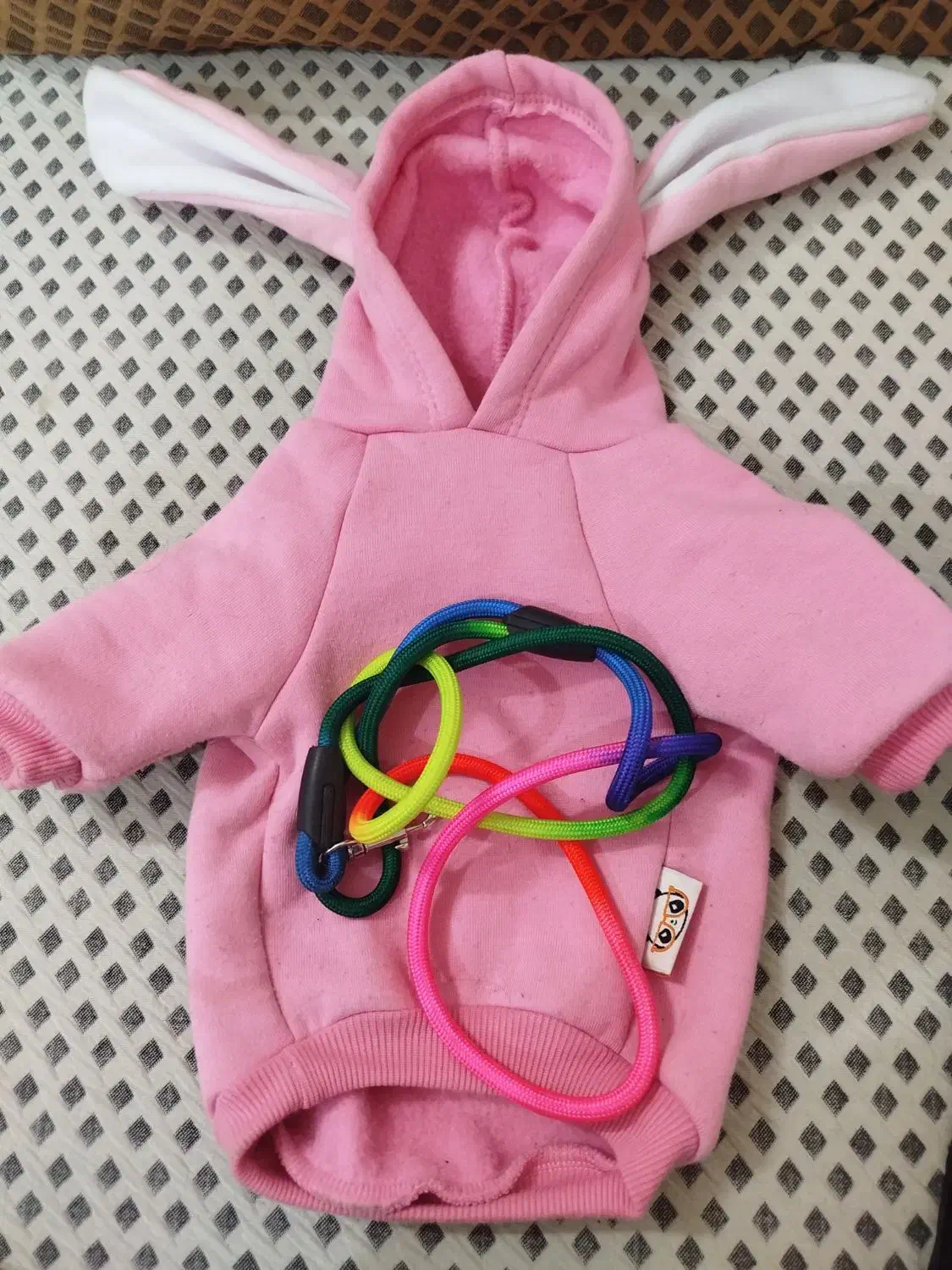 لباس زمستونی وتشک|لوازم جانبی حیوانات|مشهد, نوید|دیوار