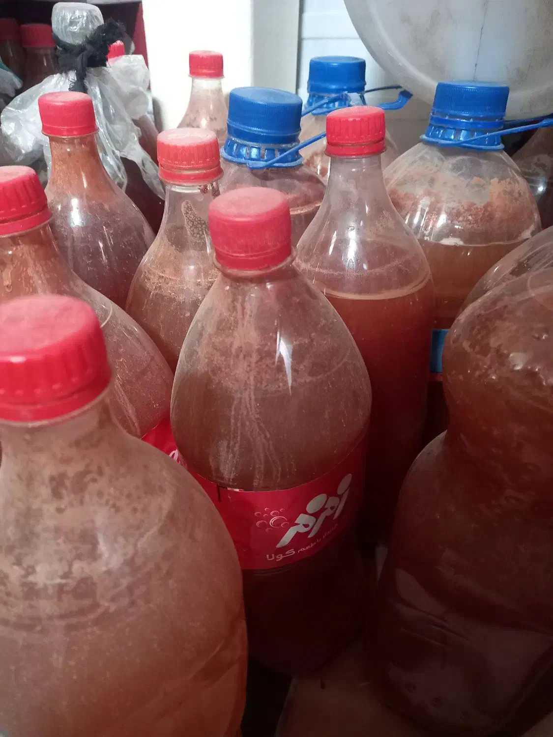 آبغوره ارگانیک|خوردنی و آشامیدنی|فردیس, فردیس|دیوار