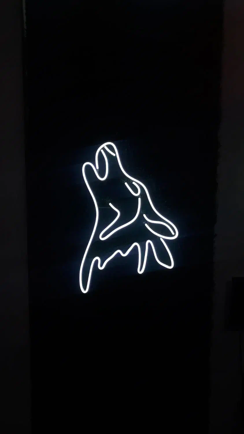 نئون زیبا و با دوام بالا|فروشگاه و مغازه|بابل, |دیوار