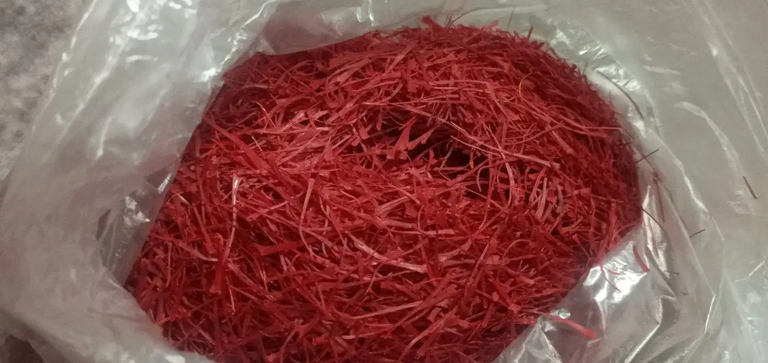 زعفران نگین|گل و گیاه طبیعی|مشهد, ایثارگران|دیوار