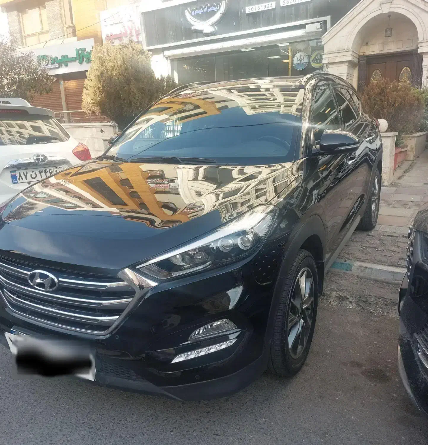 توسان ۲۰۱۷|خودرو سواری و وانت|تهران, درختی|دیوار