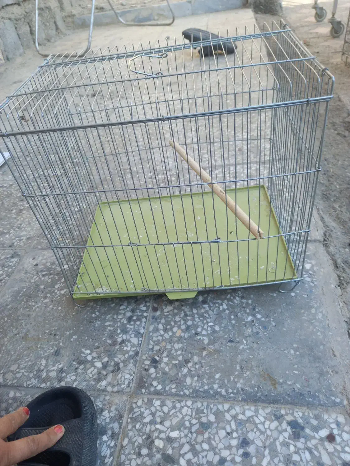 قفس|لوازم جانبی حیوانات|میناب, |دیوار