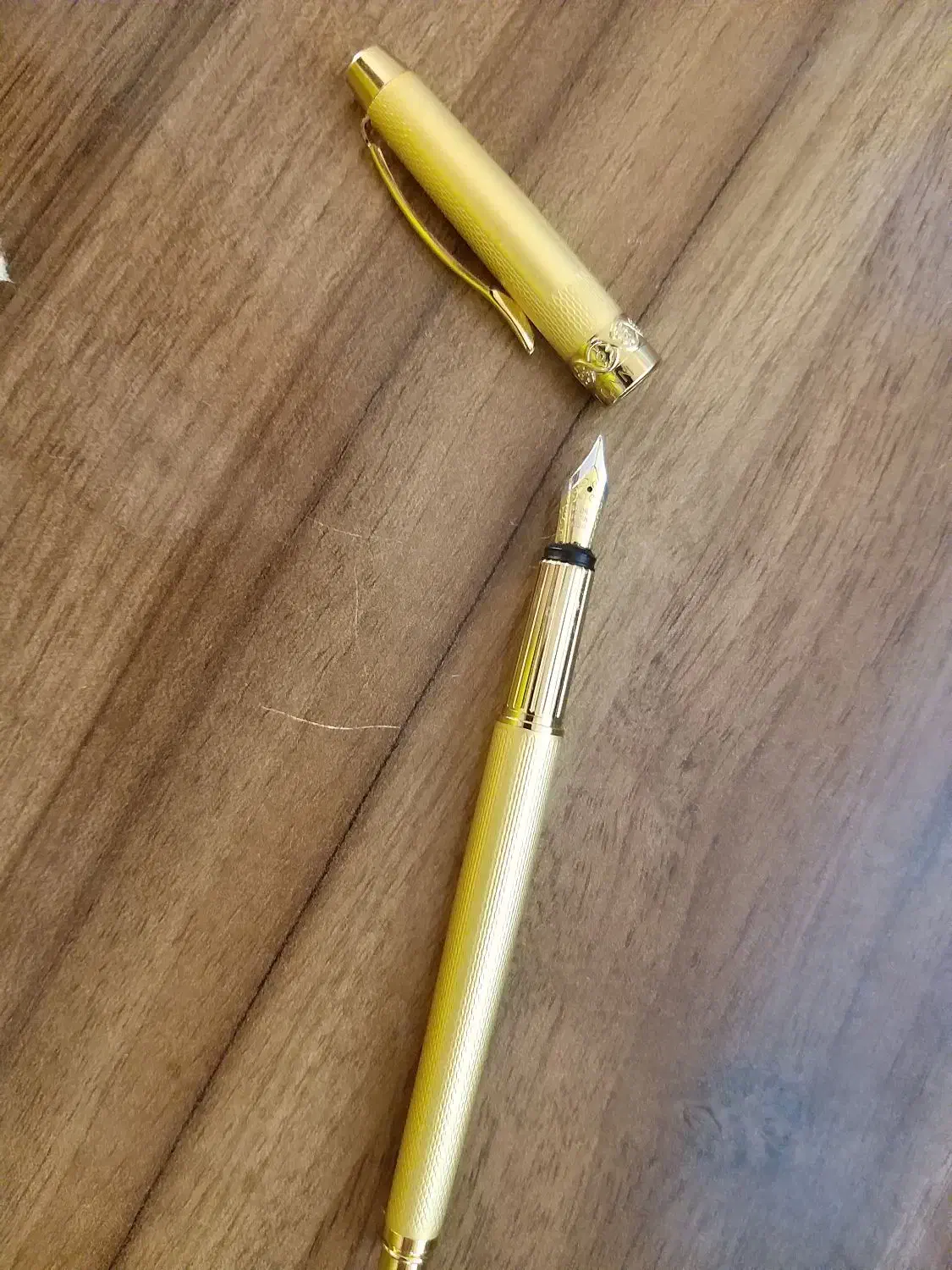 EUROPEN  BONN|لوازم التحریر|اردبیل, |دیوار