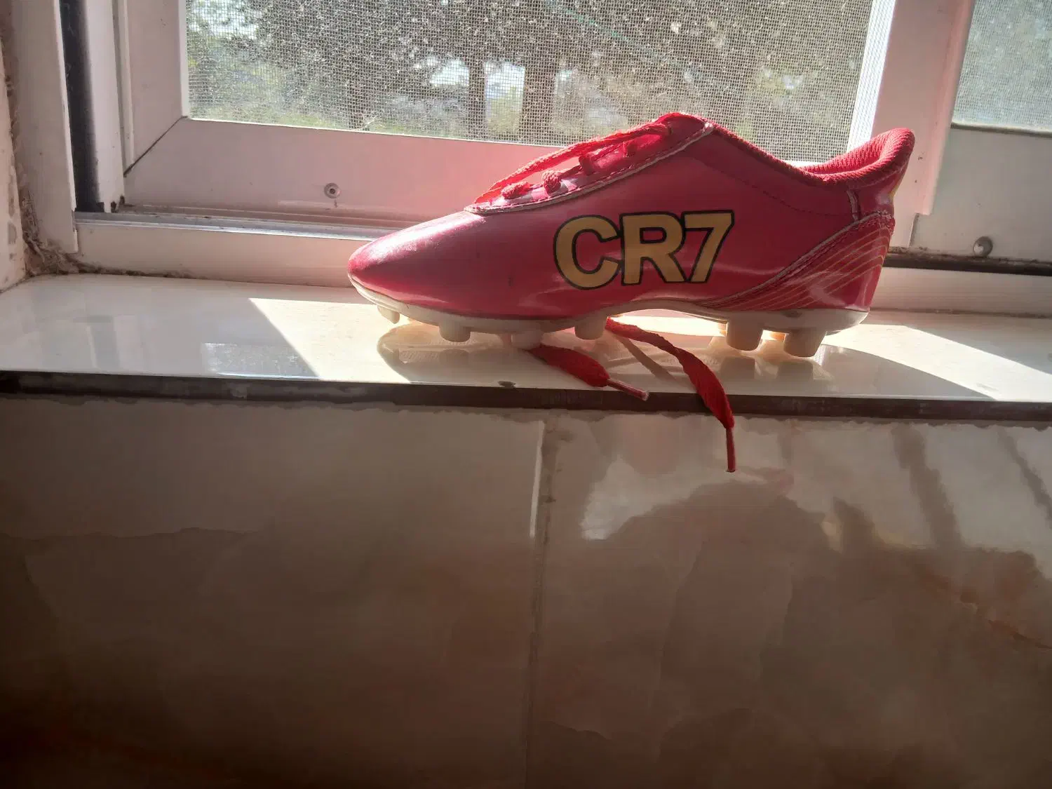 کفش|کیف، کفش، کمربند|رشت, استقامت ۱|دیوار