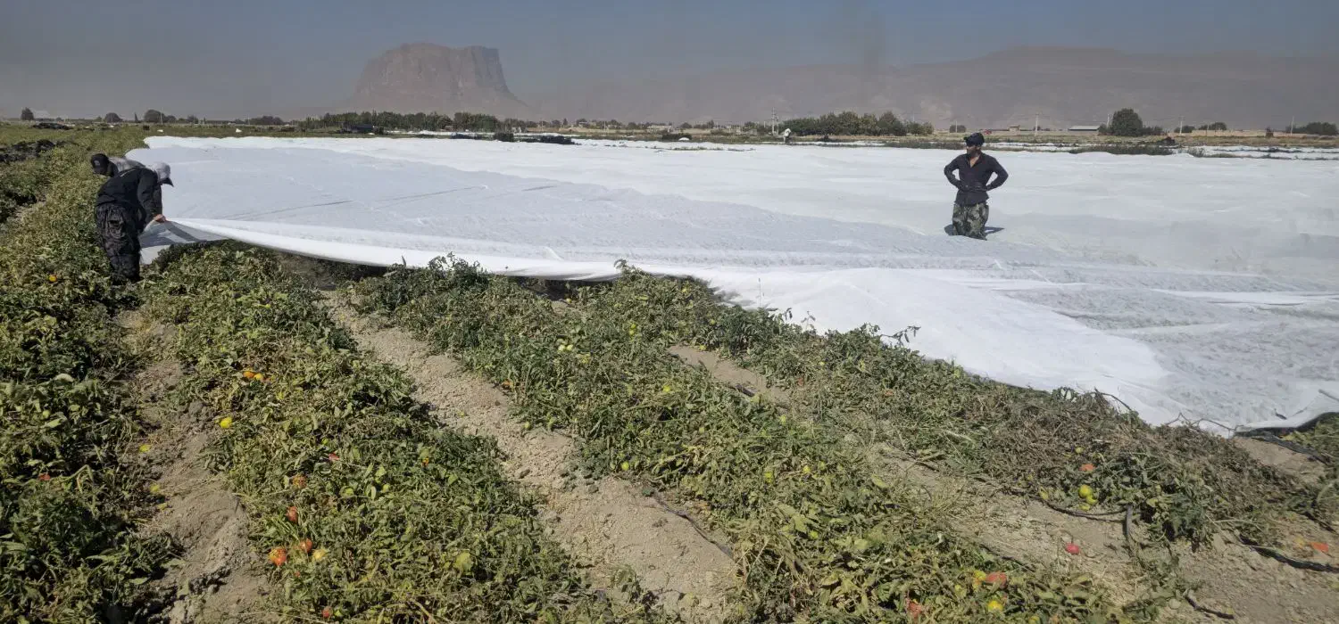 کاور (فوم)کشاورزی|عمده‌فروشی|دهرم, |دیوار