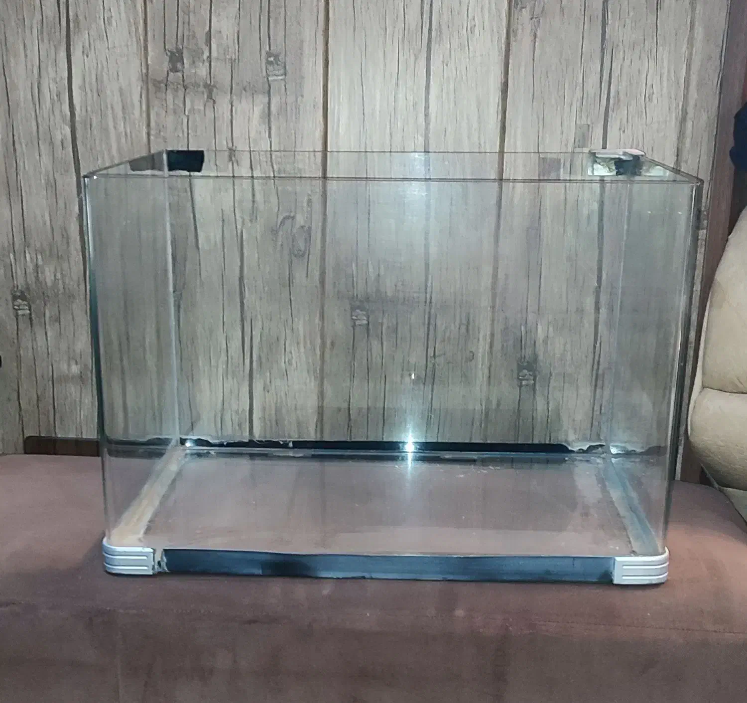 اگواریوم خم سالم|ماهی|اصفهان, رزمندگان|دیوار