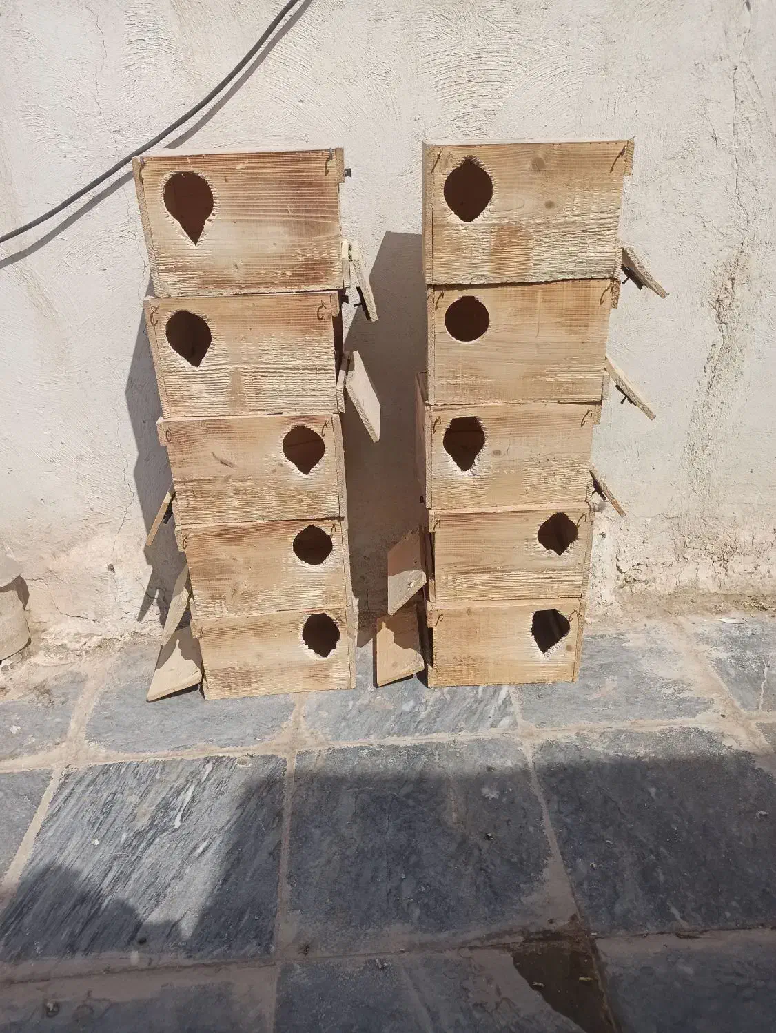 لونه عروس هلندی و گرینچیک|لوازم جانبی حیوانات|قم, بلوار امین و ساحلی|دیوار