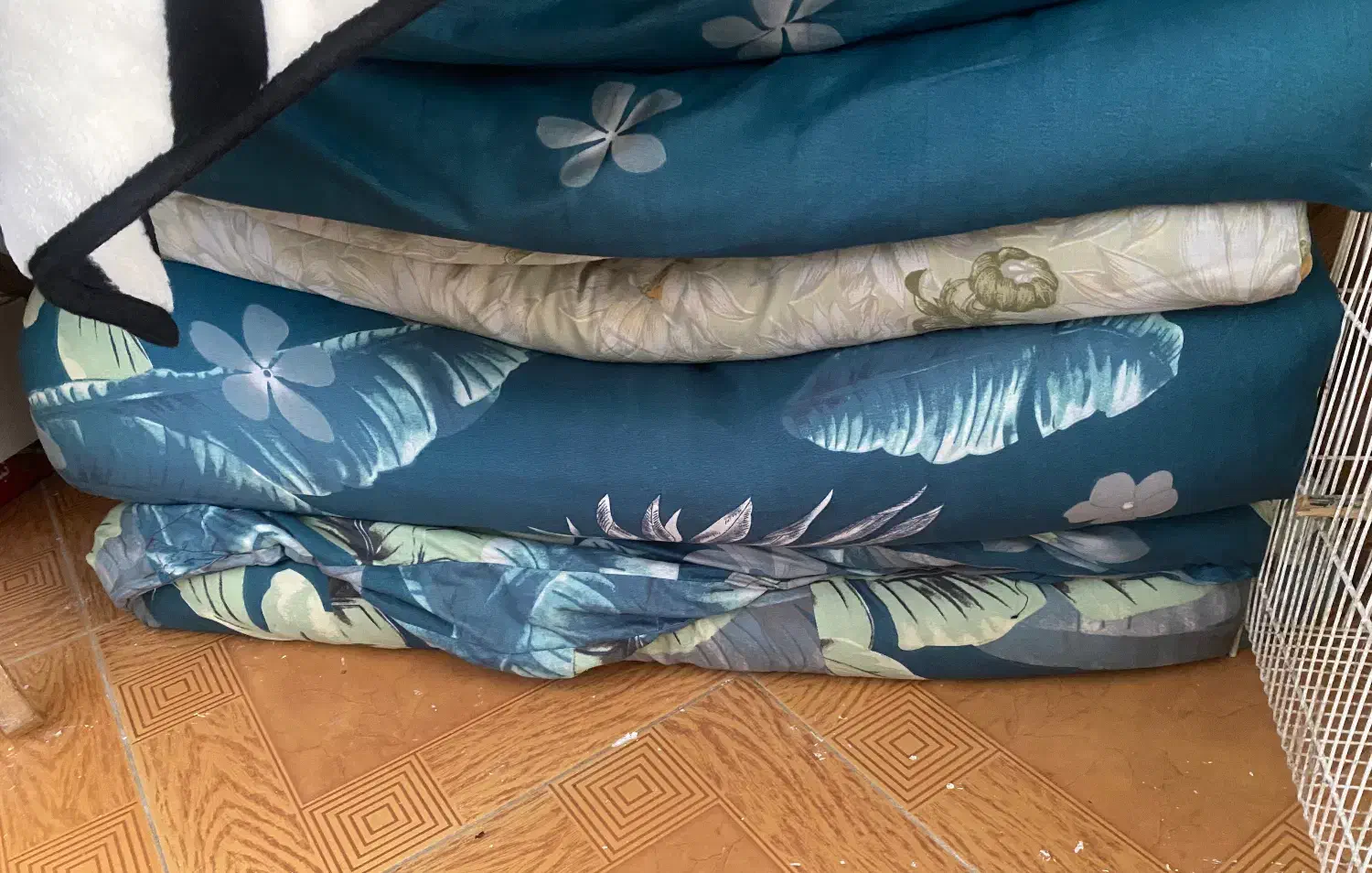 تشک|رختخواب، بالش، پتو|نوشهر, |دیوار