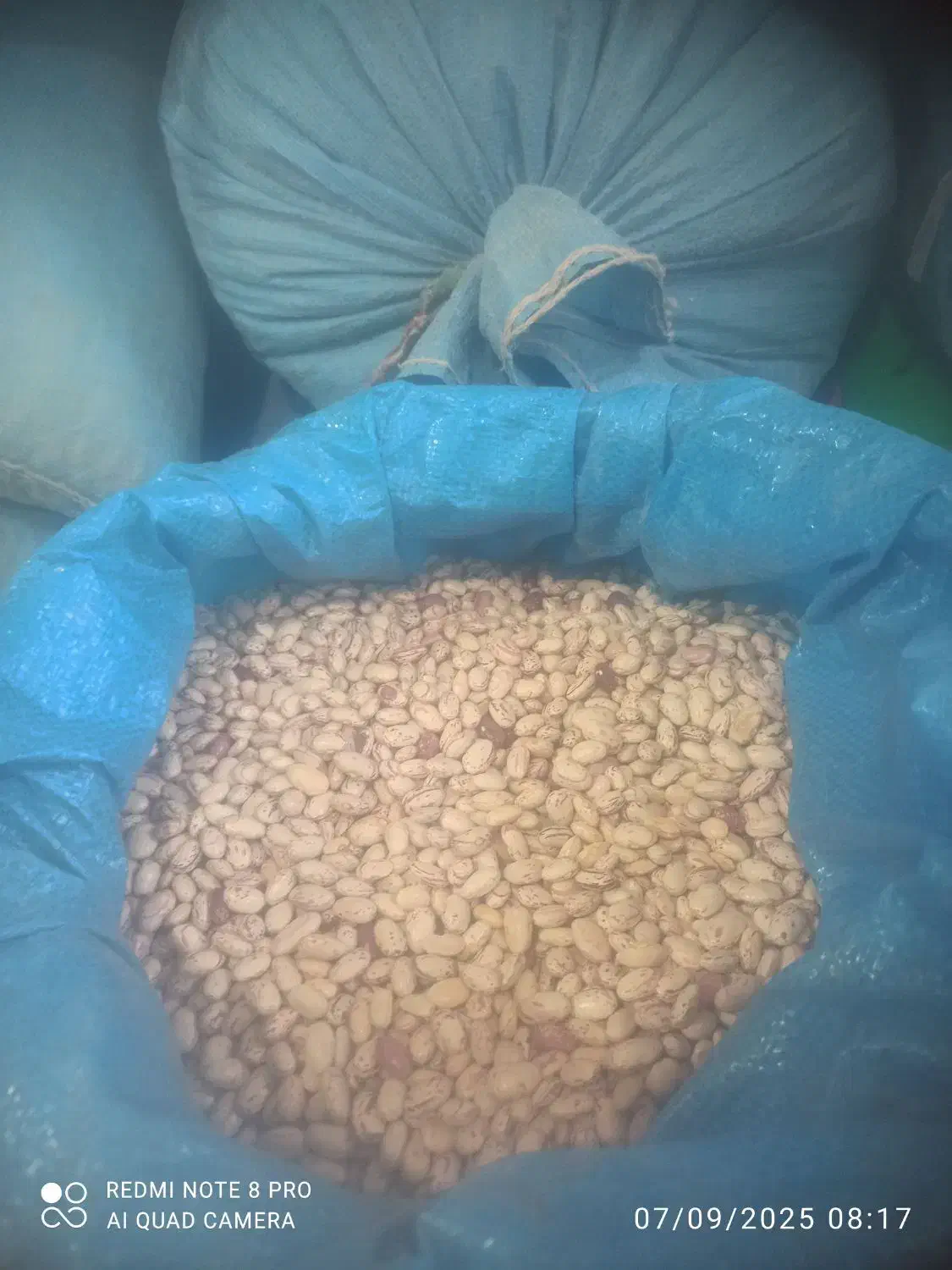 لوبیا چیتی درجه یک برداشت امسال  ۳۸۰|خوردنی و آشامیدنی|رستم, |دیوار