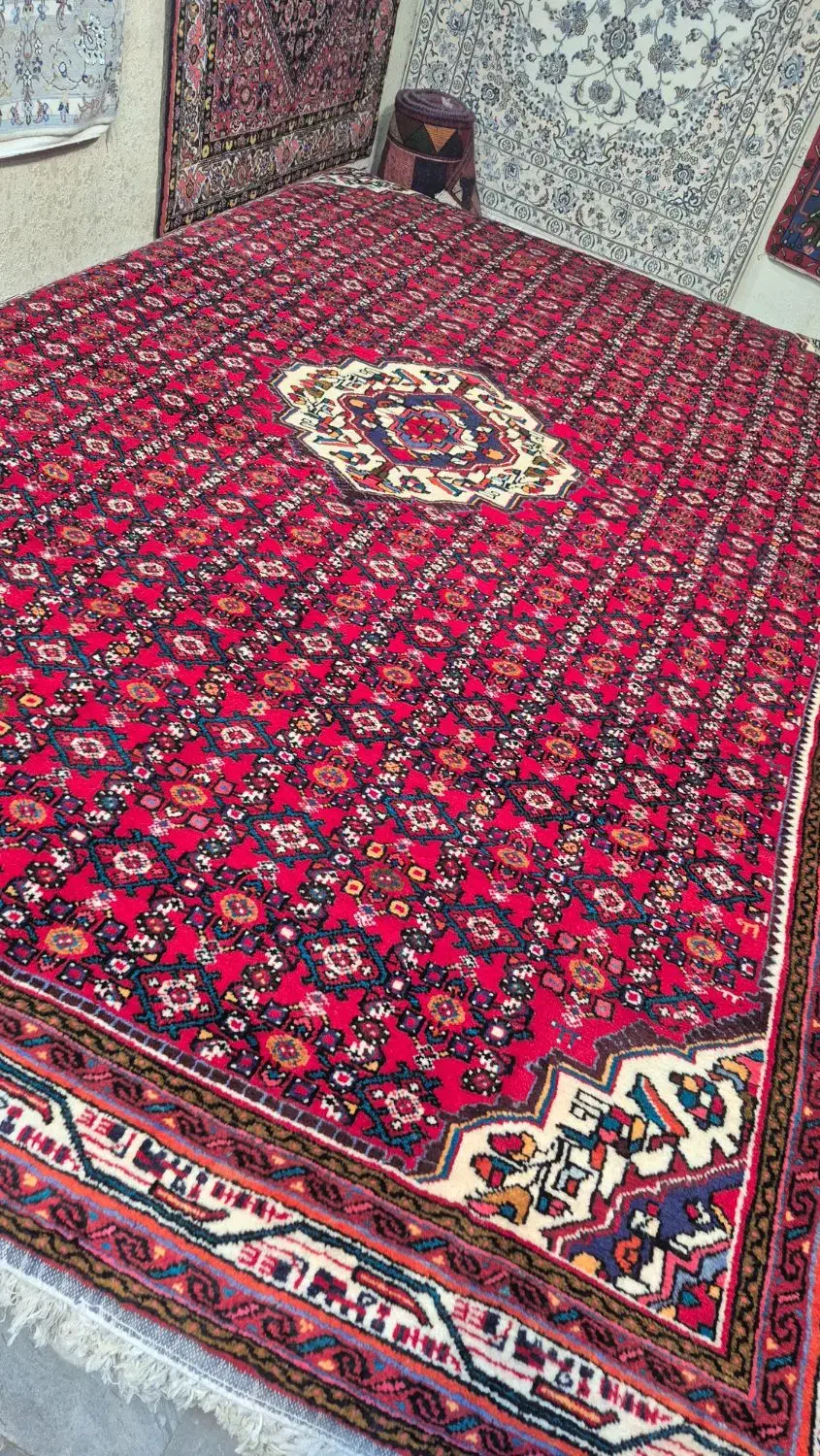 یک جفت فرش دستباف ۶ متری حسین آباد ملایر|فرش|کرج, برغان|دیوار