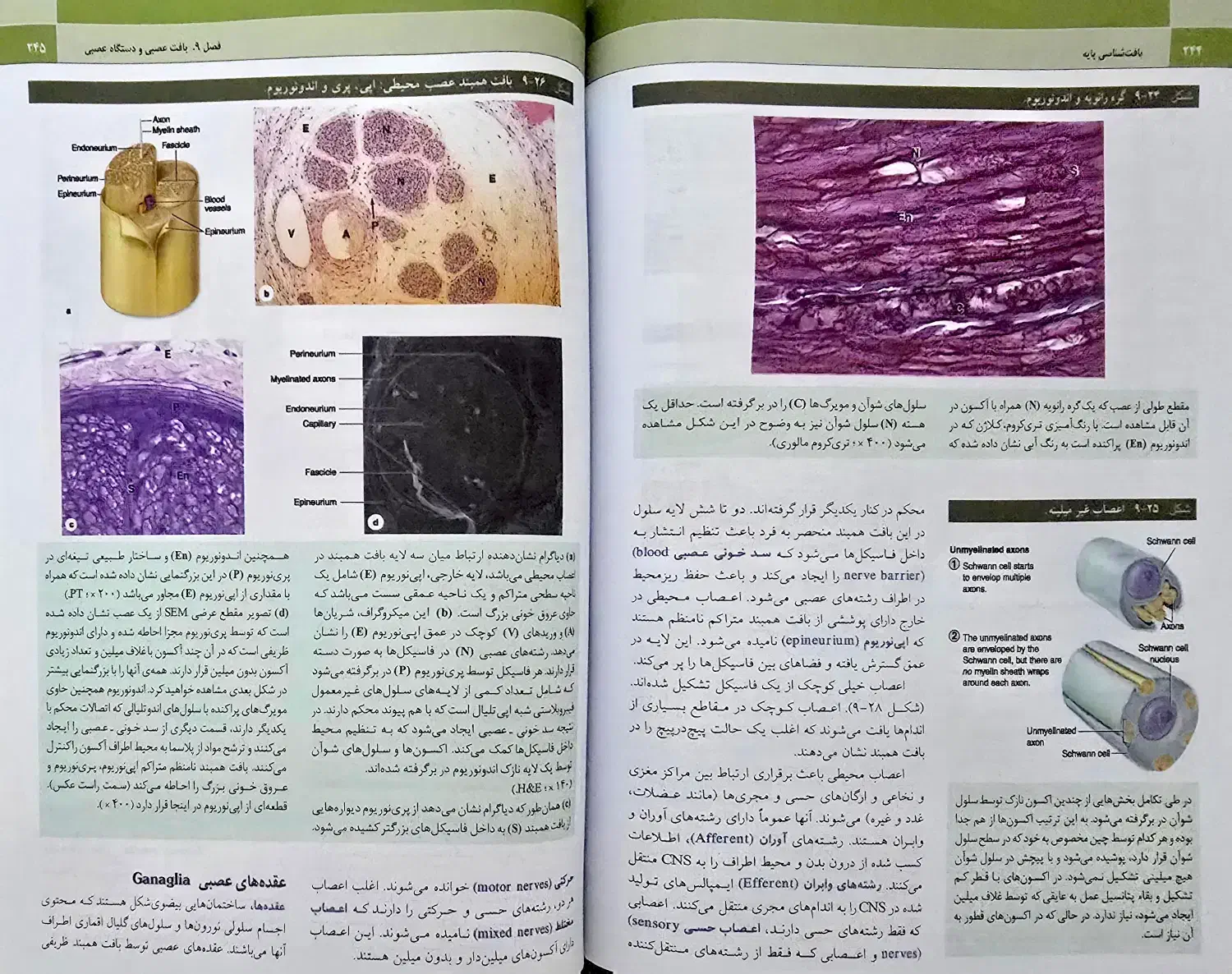 بافت شناسی پایه جان کوئیرا ۲۰۲۱ (جان کوییرا)|کتاب و مجله آموزشی|اصفهان, شهرک شهید منتظری|دیوار