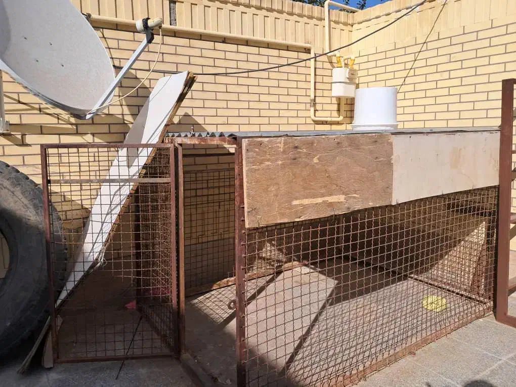 قفس پرنده یاسگ|لوازم جانبی حیوانات|رفسنجان, |دیوار