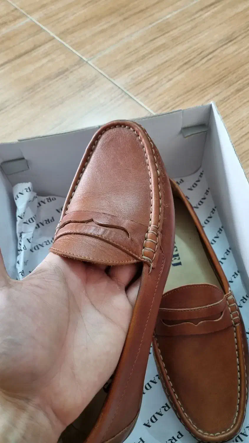 کفش کالج چرمی|کیف، کفش، کمربند|آمل, |دیوار