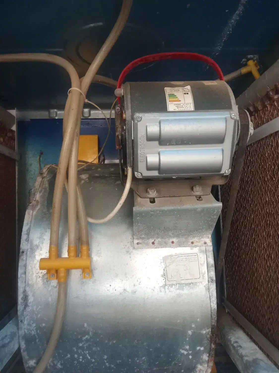 کولر آبی کاملاسالم|کولر آبی|دزفول, |دیوار