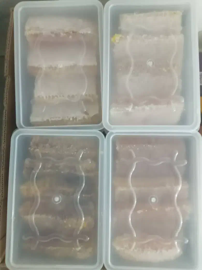 عسل خداافرین|خوردنی و آشامیدنی|اسلامشهر, شهرک مهدیه|دیوار