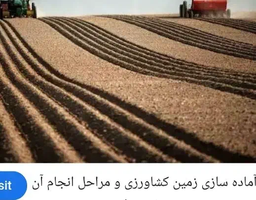 اجاره زمین کشاورزی|اجارهٔ دفتر صنعتی، کشاورزی، تجاری|کوهدشت, |دیوار