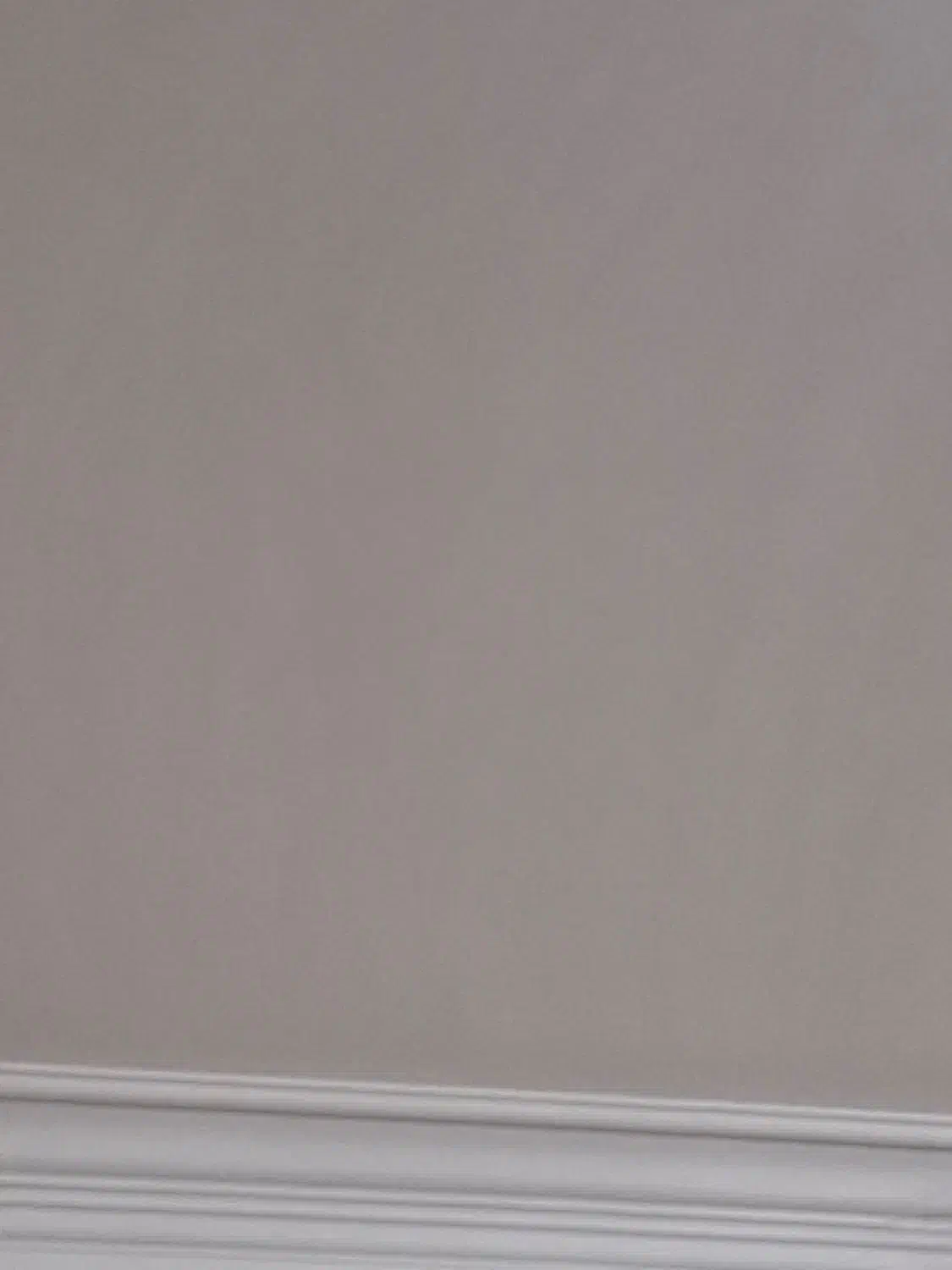 اجاره مغازه تجاری|اجارهٔ مغازه و غرفه|قائن, |دیوار