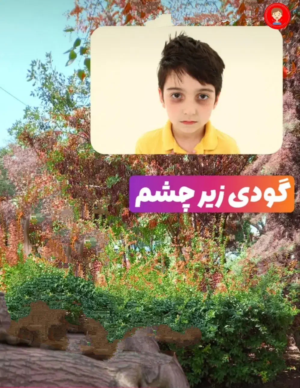 تول گیری پیشوا|خدمات آرایشگری و زیبایی|پیشوا, |دیوار