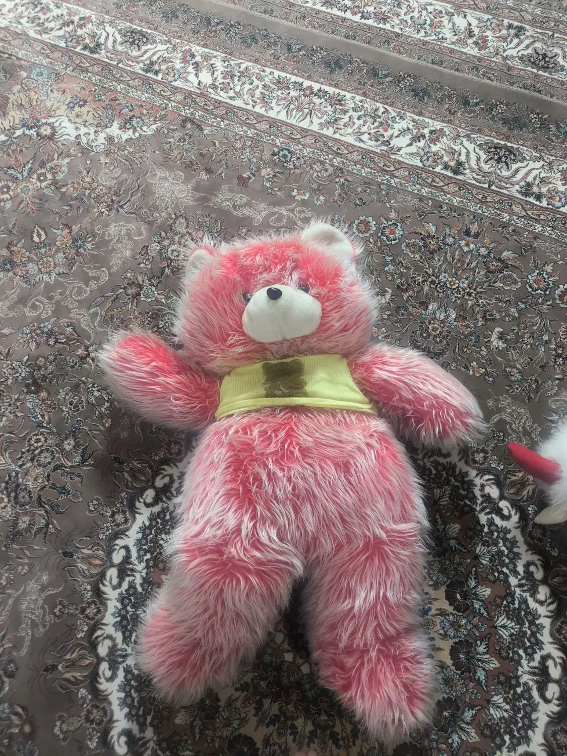 عروسک|اسباب‌بازی بچه|قم, امامزاده ابراهیم|دیوار