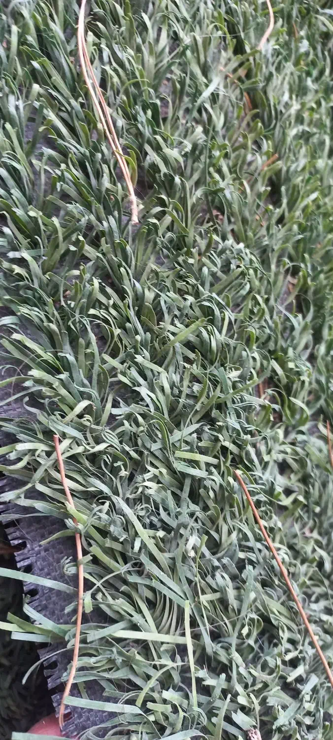 چمن مصنوعی|مصالح و تجهیزات ساختمان|اصفهان, راه آهن|دیوار