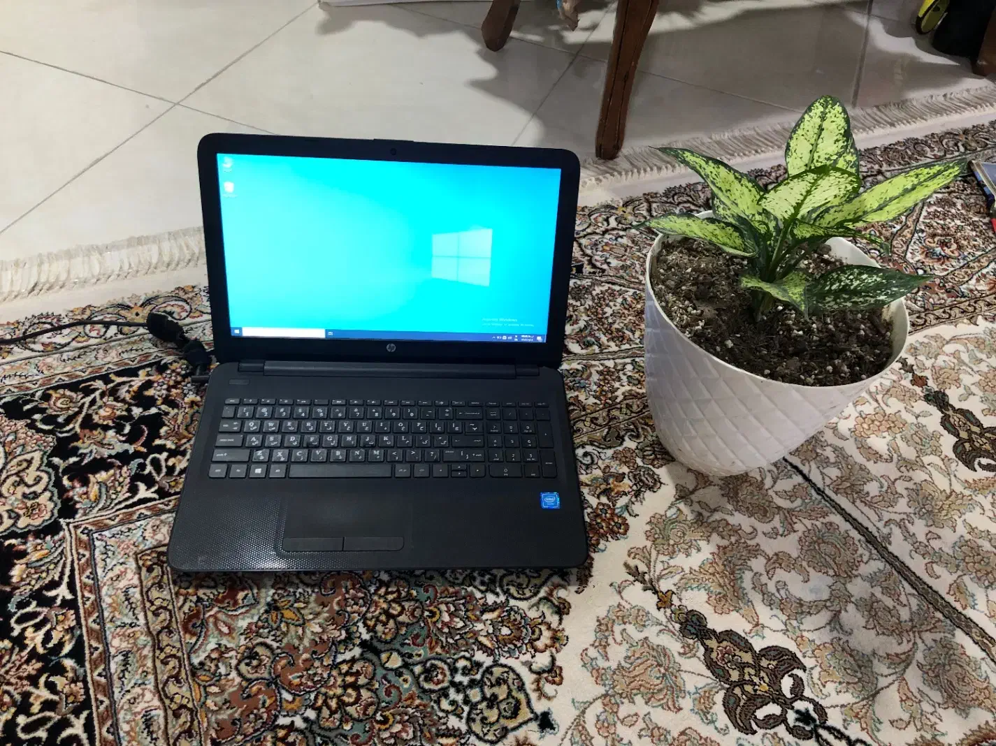 لپتاپ hp خانگی|رایانه همراه|ساری, |دیوار