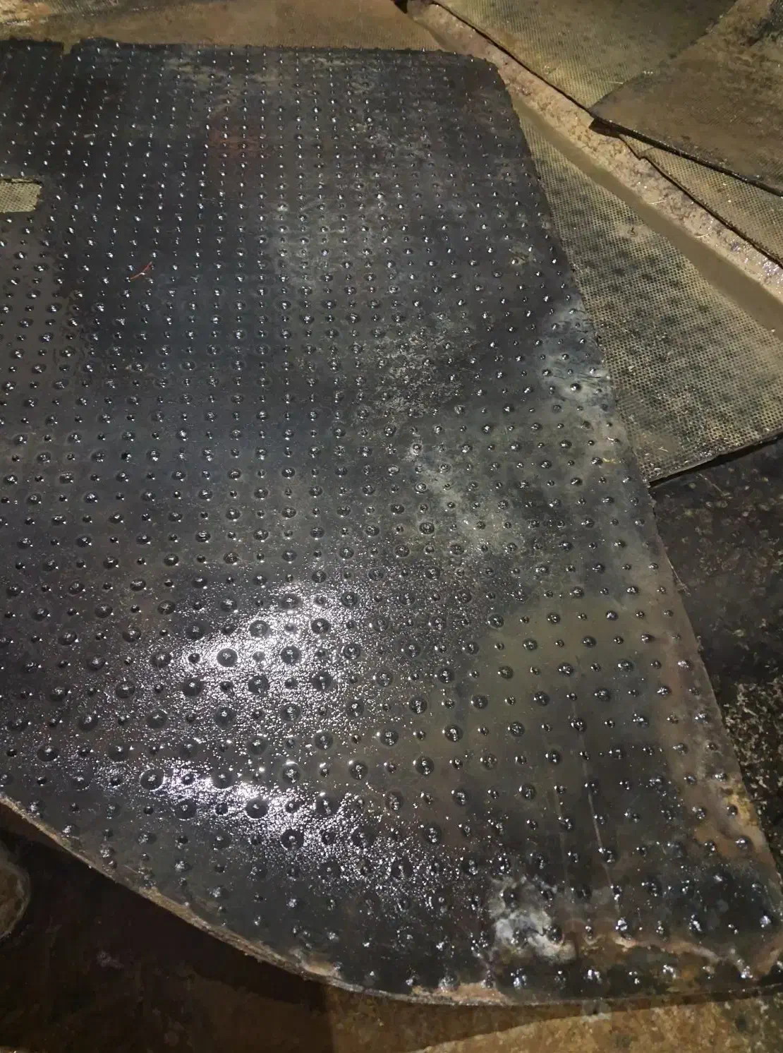 کفپوش گاو داری|حیوانات مزرعه|املش, |دیوار