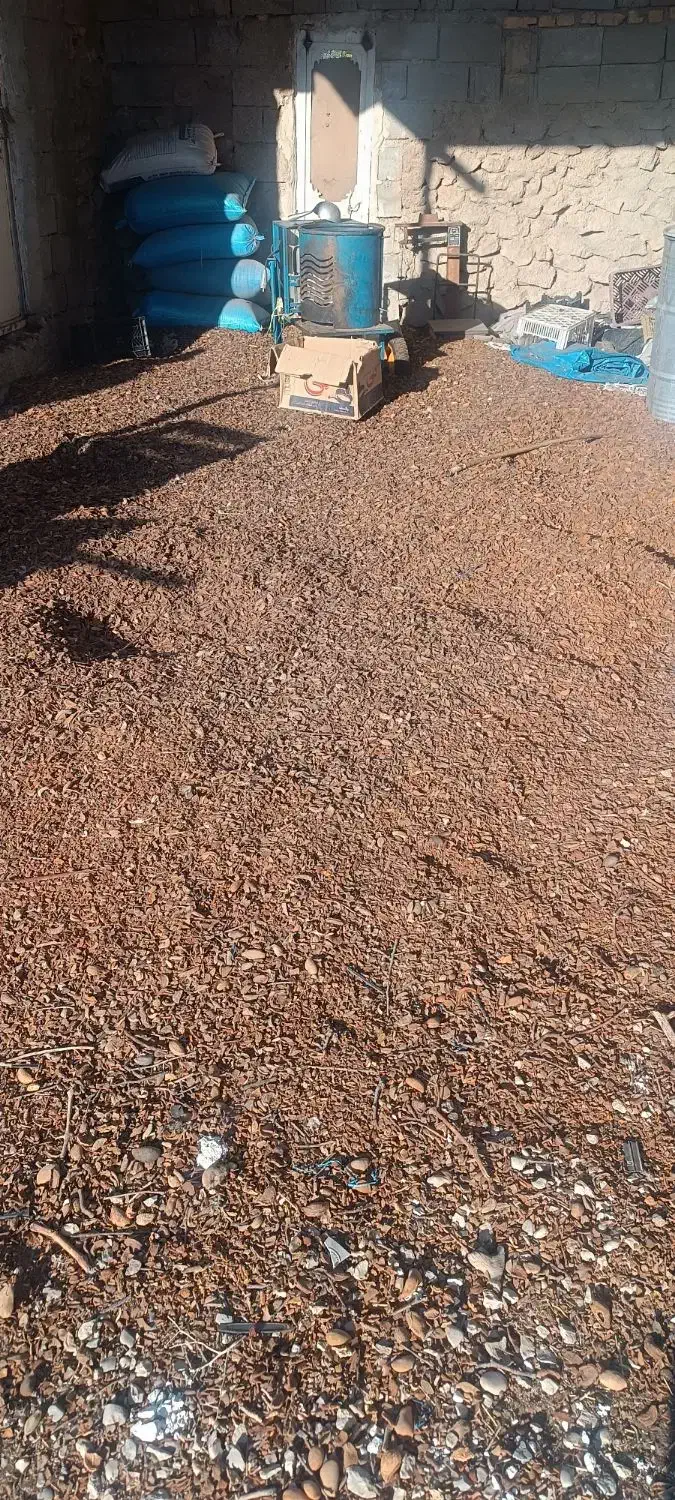 پوست بادام خشک شده|لوازم جانبی حیوانات|نورآباد ممسنی, |دیوار