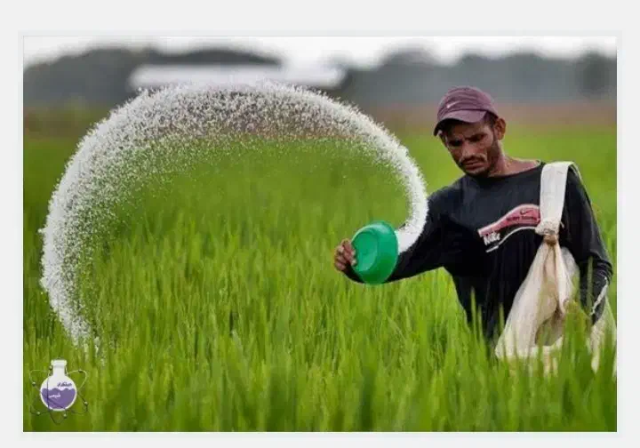 کود|حراج|دهدشت, |دیوار