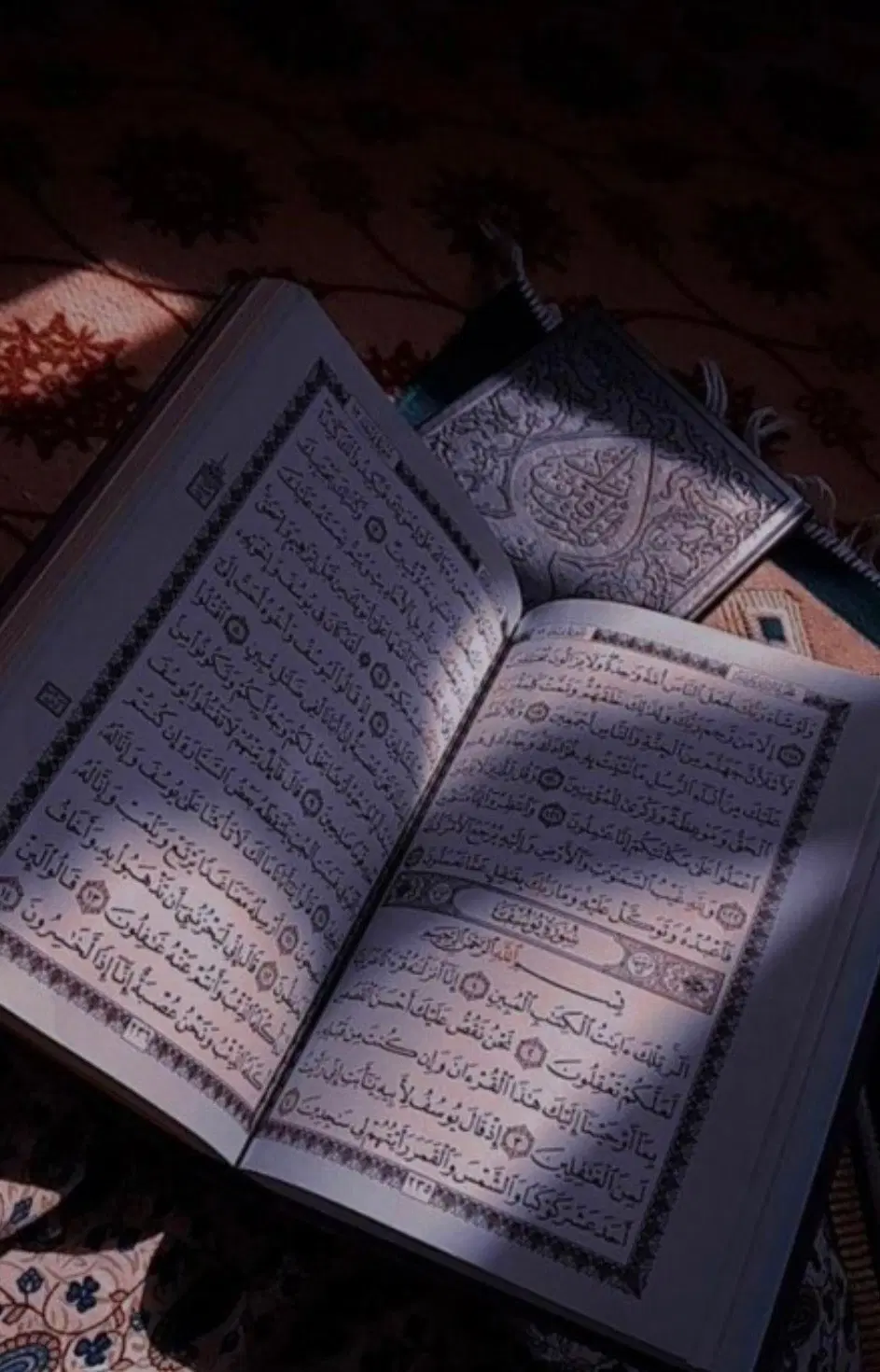 حاجات|خدمات پذیرایی، مراسم|شاهین دژ, |دیوار