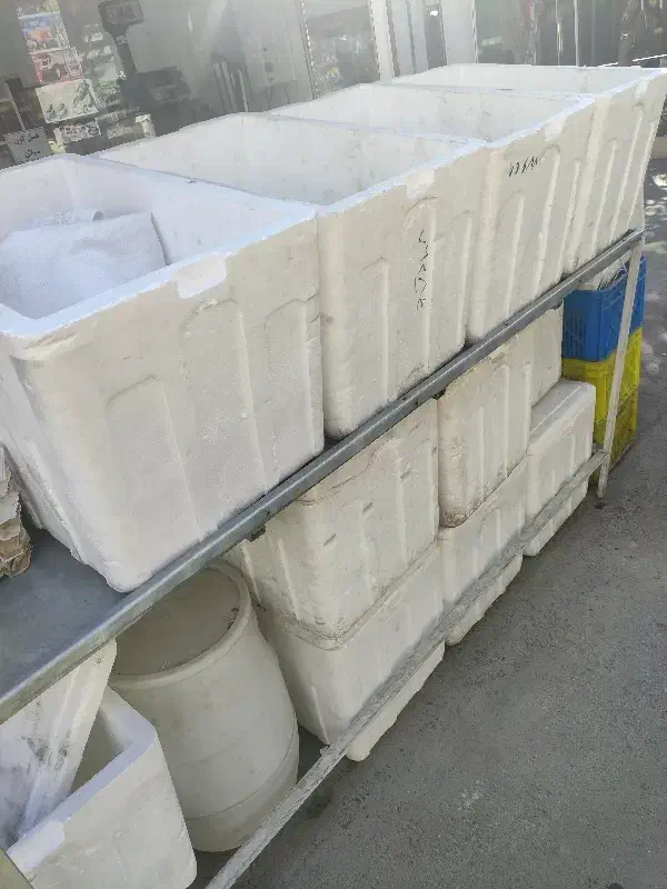 تعدادی یخدان ۳۰ لیتری|ظروف نگهدارنده، پلاستیکی، یک‌بارمصرف|تهران, حکیمیه|دیوار