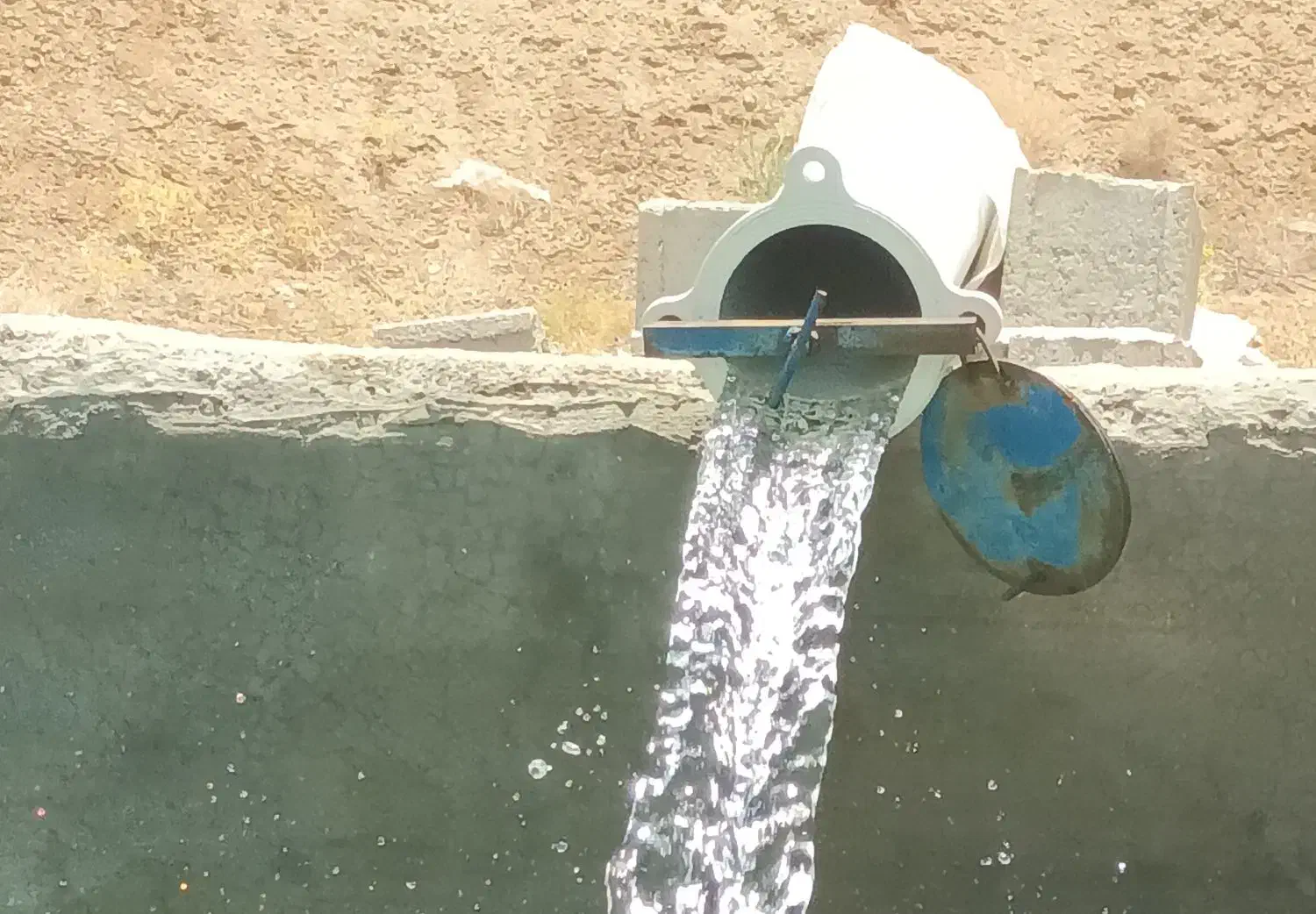 زمین کشاورزی|فروش زمین و ملک کلنگی|پشتکوه (فارس), |دیوار