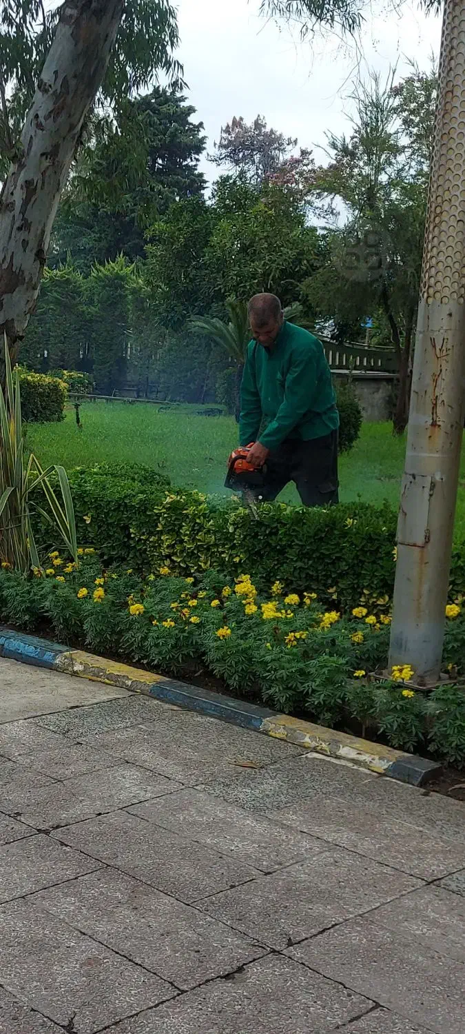 خدمات فضای سبز از صفر تا صد|خدمات باغبانی و درختکاری|بندر انزلی, گلسرخ|دیوار