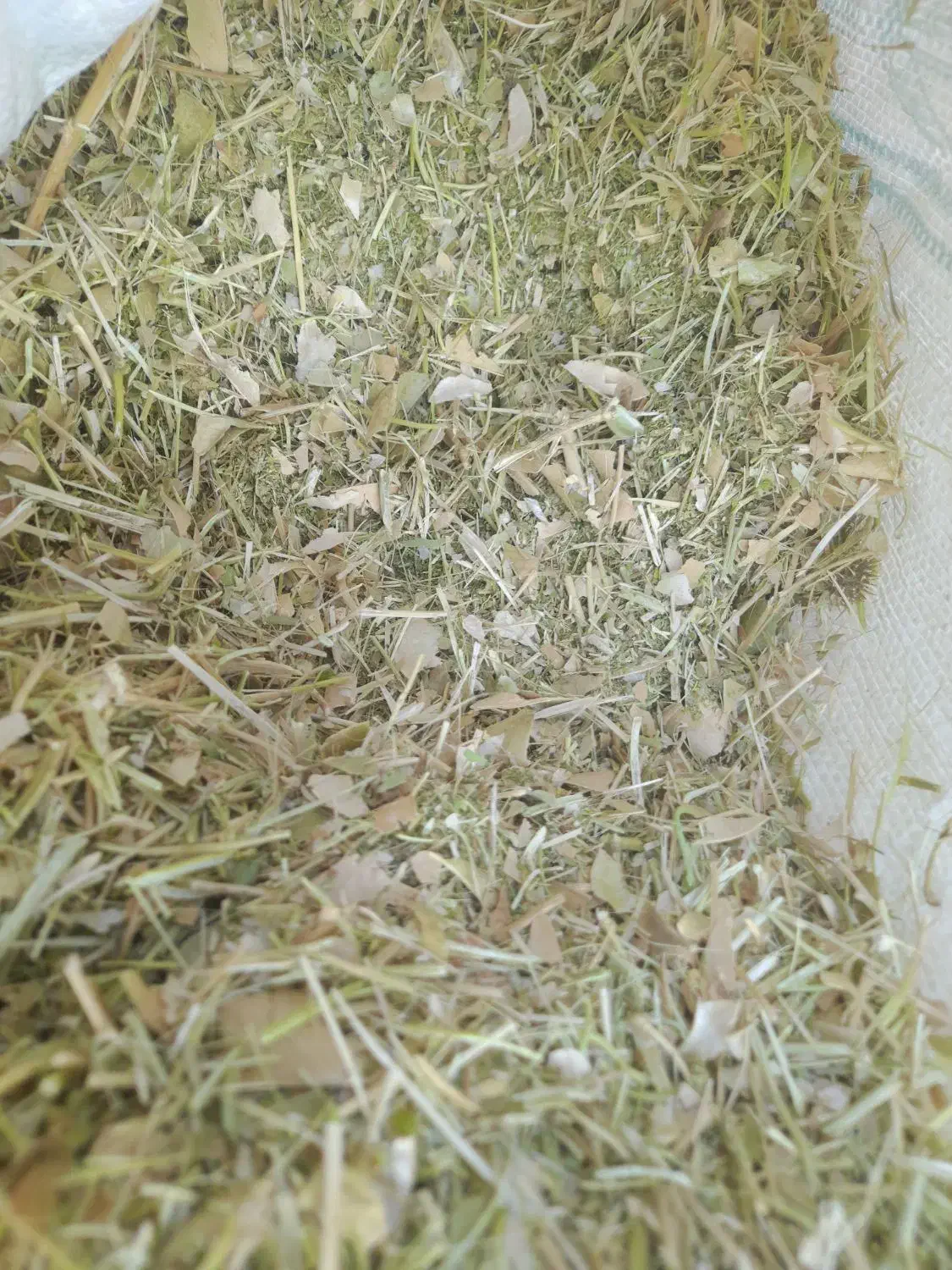 خرید فروش کاه لوبیا|عمدهفروشی|قیدار, |دیوار